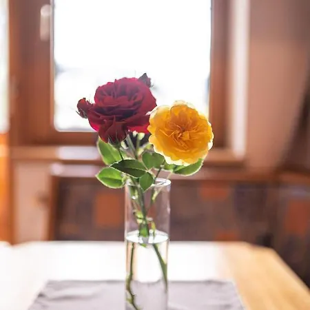 Aparthaus Winkler Casa vacanze Hinterthal